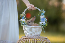 Load image into Gallery viewer, Floral basket - Peter Rabbit